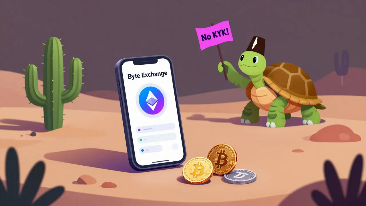 A tiny mobile app in a desert with three coins beside it, a turtle waving a 'No KYC' flag in the background.
